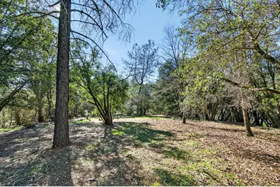 1 Cuckoo Court, Applegate, CA 95703 - Photo 9