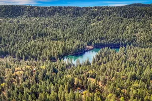 10973 Scotts Flat Dam Rd, Nevada City, CA 95959 - Photo 69