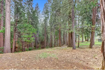 10973 Scotts Flat Dam Road, Nevada City, CA 95959 - Photo 83