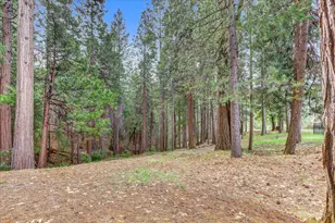 10973 Scotts Flat Dam Rd, Nevada City, CA 95959 - Photo 83