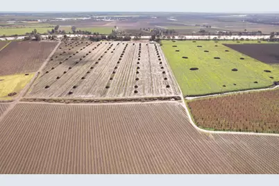 39670 S River Road, Clarksburg, CA 95612 - Photo 7