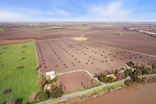 39670 S River Rd, Clarksburg, CA 95612 - Photo 5