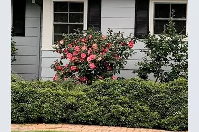 3710 Orchard Lane, Sacramento, CA 95821 - Photo 37