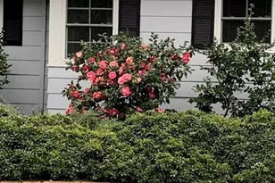 3710 Orchard Ln, Sacramento, CA 95821 - Photo 3