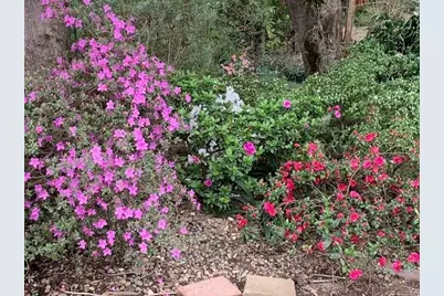 3710 Orchard Lane, Sacramento, CA 95821 - Photo 9