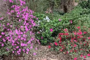 3710 Orchard Ln, Sacramento, CA 95821 - Photo 9