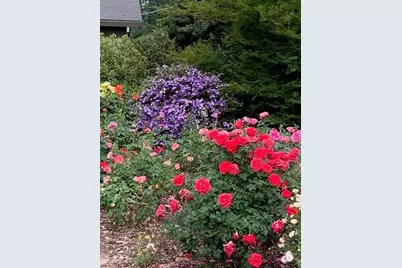 3710 Orchard Lane, Sacramento, CA 95821 - Photo 13