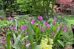 3710 Orchard Ln, Sacramento, CA 95821 - Photo 7