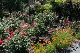 3710 Orchard Ln, Sacramento, CA 95821 - Photo 5