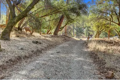 17421 Anona Court, Grass Valley, CA 95949 - Photo 79