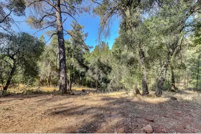 17421 Anona Court, Grass Valley, CA 95949 - Photo 7