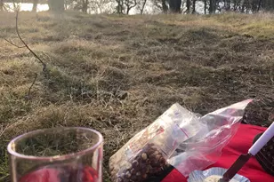 14961 Retreats Trail Ct, Rancho Murieta, CA 95683 - Photo 11