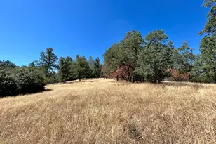 3090 Omo Ranch Rd, Somerset, CA 95684 - Photo 1