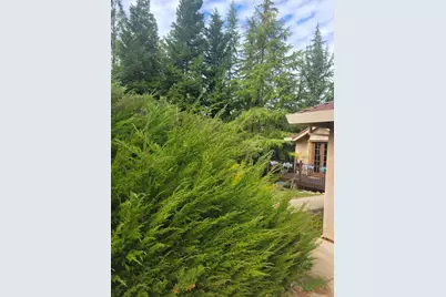 3417 Secret Lake Trail, Cool, CA 95614 - Photo 5
