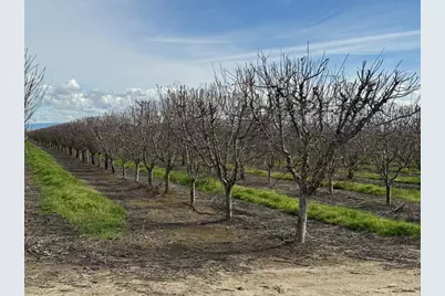 6722 Bryden Road, Marysville, CA 95901 - Photo 9