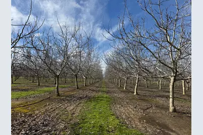 6722 Bryden Road, Marysville, CA 95901 - Photo 17