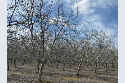 6722 Bryden Road, Marysville, CA 95901 - Photo 21