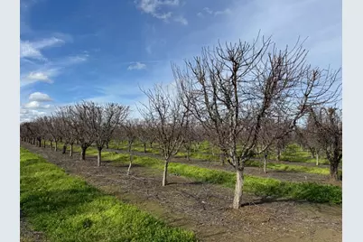 6722 Bryden Road, Marysville, CA 95901 - Photo 5