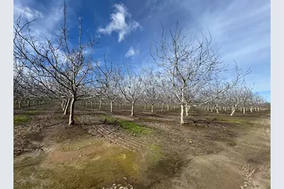 6722 Bryden Road, Marysville, CA 95901 - Photo 15