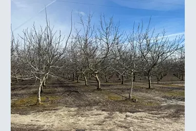 6722 Bryden Road, Marysville, CA 95901 - Photo 19