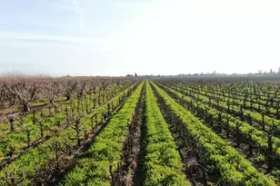 5954 E Hogan, Lodi, CA 95240 - Photo 11