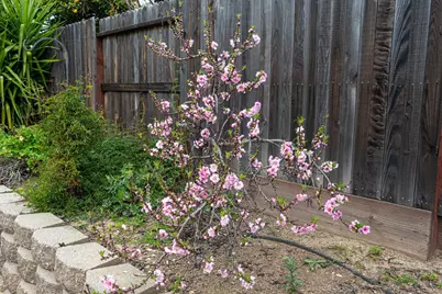 1800 Ambridge Drive, Roseville, CA 95747 - Photo 45