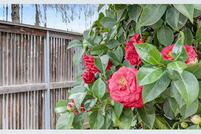 3706 Gold Creek Lane, Sacramento, CA 95827 - Photo 31