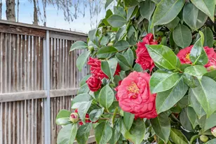 3706 Gold Creek Ln, Sacramento, CA 95827 - Photo 31