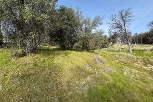 0 Whitto Mine Rd, Sonora, CA 95370 - Photo 1