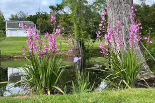 9240 Rock Springs Rd, Newcastle, CA 95658 - Photo 65