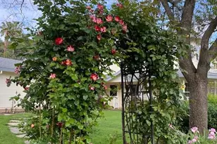 9240 Rock Springs Rd, Newcastle, CA 95658 - Photo 63