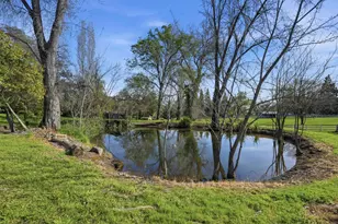 9240 Rock Springs Rd, Newcastle, CA 95658 - Photo 77