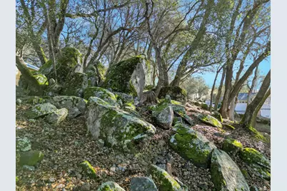 17572 Long Branch Court, Penn Valley, CA 95946 - Photo 55