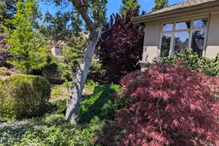 50 Knolls Ct, Copperopolis, CA 95228 - Photo 33