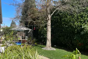 1689 Greenwood Way, Yuba City, CA 95993 - Photo 35