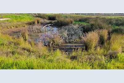 14430 Haycock Street, Sloughhouse, CA 95683 - Photo 5