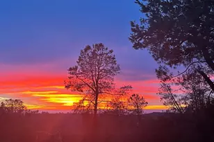 16101 Barbara Ct, Grass Valley, CA 95949 - Photo 33