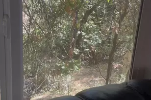 15234 Stormy Ln, Glencoe, CA 95232 - Photo 17