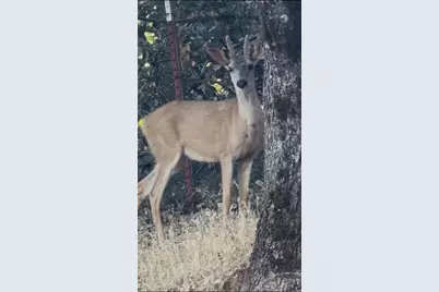 15234 Stormy Lane, Glencoe, CA 95232 - Photo 27