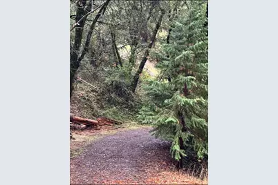 15234 Stormy Lane, Glencoe, CA 95232 - Photo 11