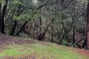 15234 Stormy Ln, Glencoe, CA 95232 - Photo 13