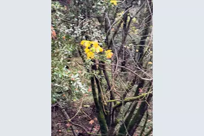 15238 Highway 26, Glencoe, CA 95245 - Photo 19