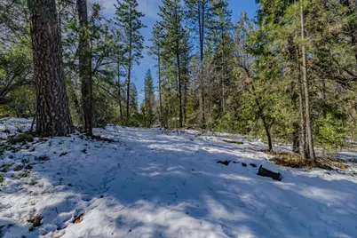 4801 Blue Mountain Road, Wilseyville, CA 95257 - Photo 3