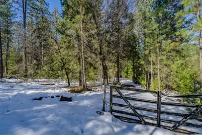 4801 Blue Mountain Road, Wilseyville, CA 95257 - Photo 1