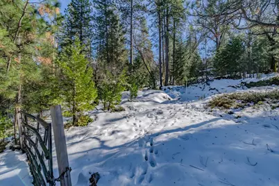 4801 Blue Mountain Road, Wilseyville, CA 95257 - Photo 13