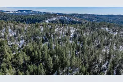 4801 Blue Mountain Road, Wilseyville, CA 95257 - Photo 21