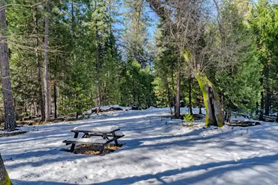 4801 Blue Mountain Road, Wilseyville, CA 95257 - Photo 9