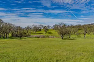 3290 Dry Creek Rd, Ione, CA 95640 - Photo 55