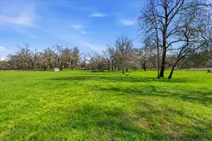 10793 Horton St, Penn Valley, CA 95946 - Photo 49