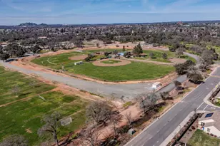 514 Lupine Dr, Ione, CA 95640 - Photo 61